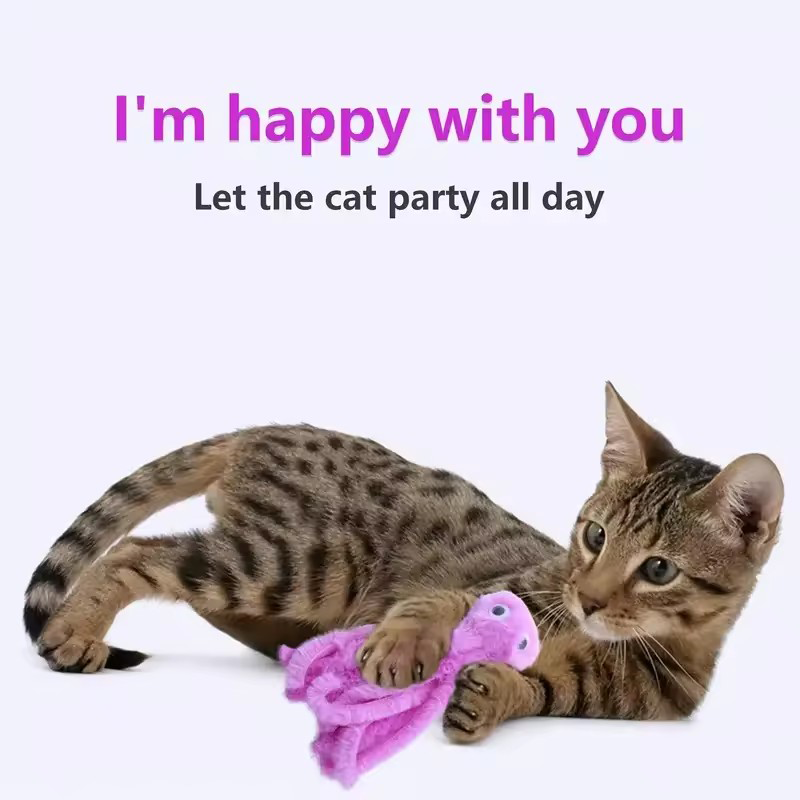 Pet Supplies Young - ألعاب قطط الأخطبوط اللطيفة للقطط والقطط