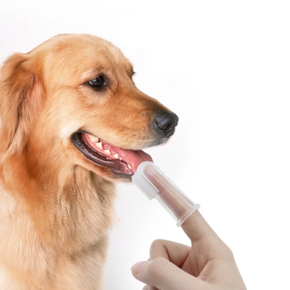 Pet Supplies Us - فرشاة أسنان ناعمة للغاية للحيوانات الأليفة،