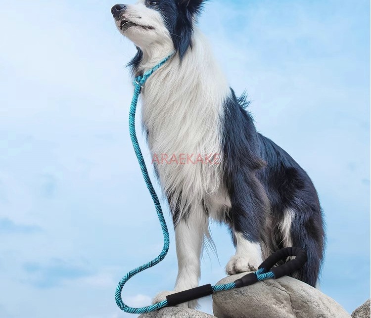 Pet Supplies Young - حبل P للمشي مقاوم للانفجار، حبل