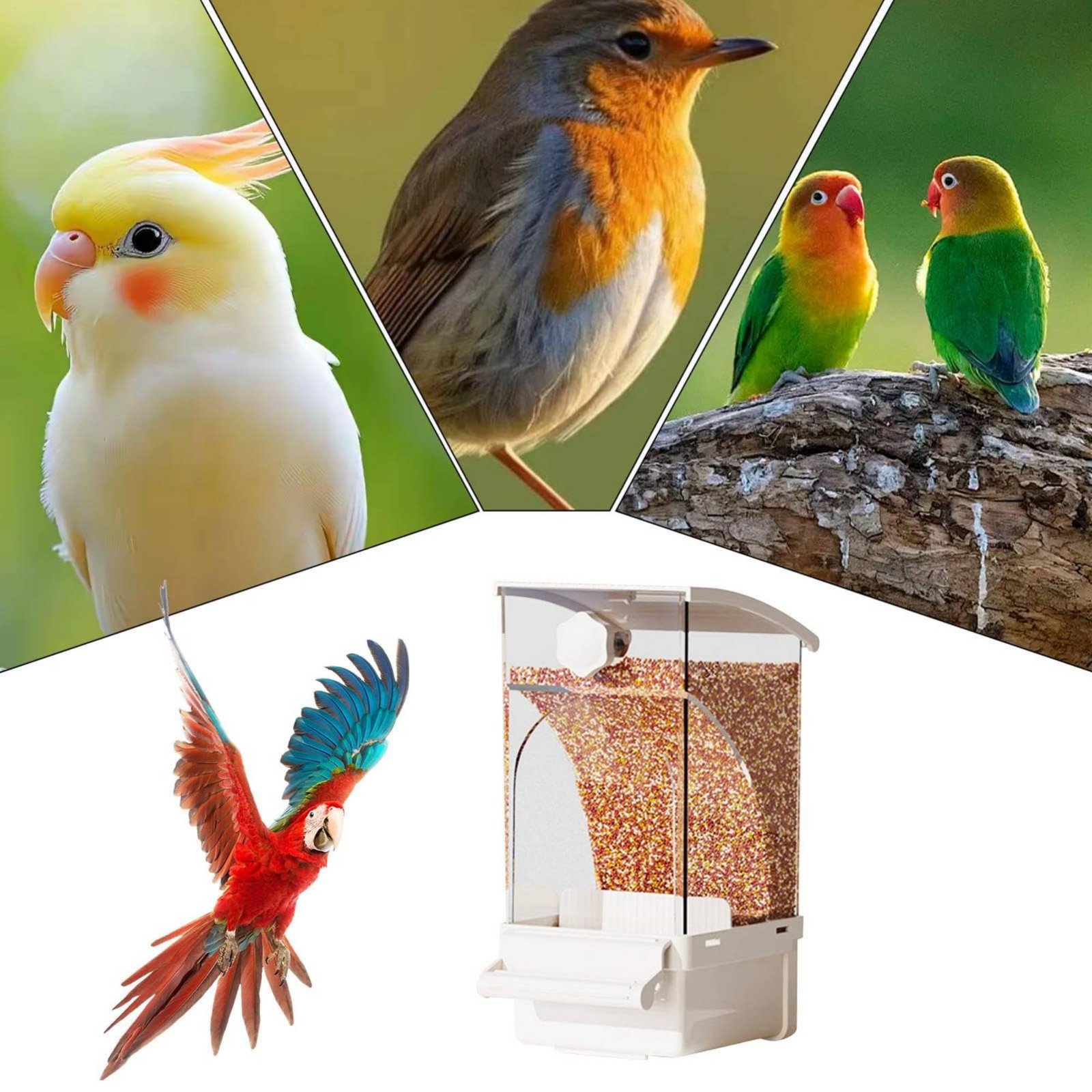 Pet Supplies Us - موزع طعام أوتوماتيكي للطيور مع فاصل