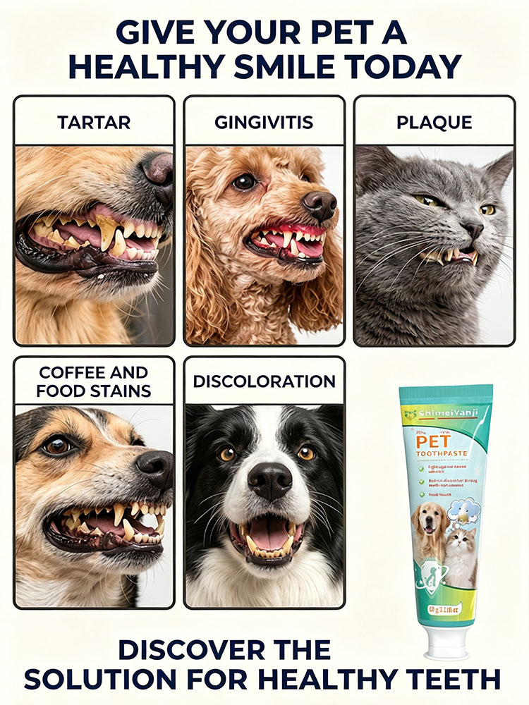 معجون أسنان POZOAMIS لتنظيف أس - مراجعة Pet Supplies Young وسعره