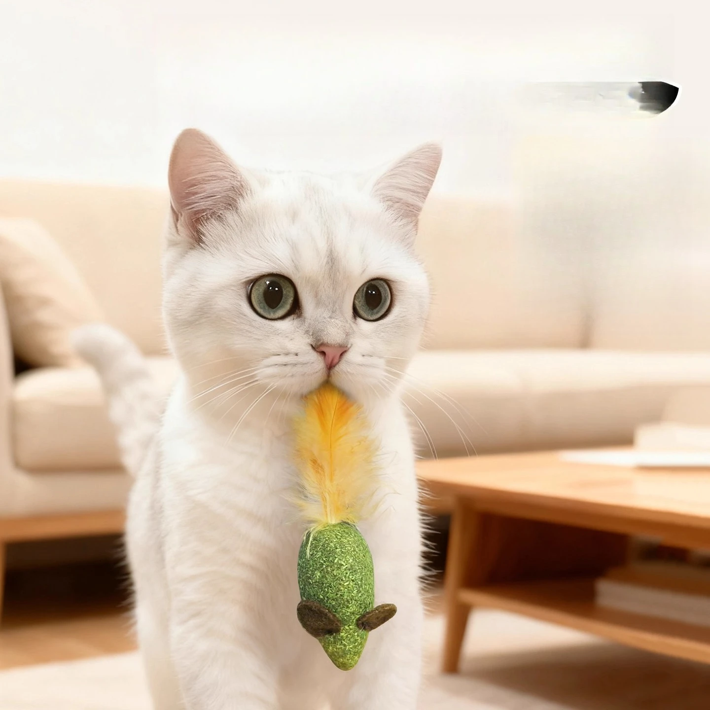 مجموعة ألعاب قضيب دعابة تفاعلي - مراجعة Pet Supplies Young وسعره