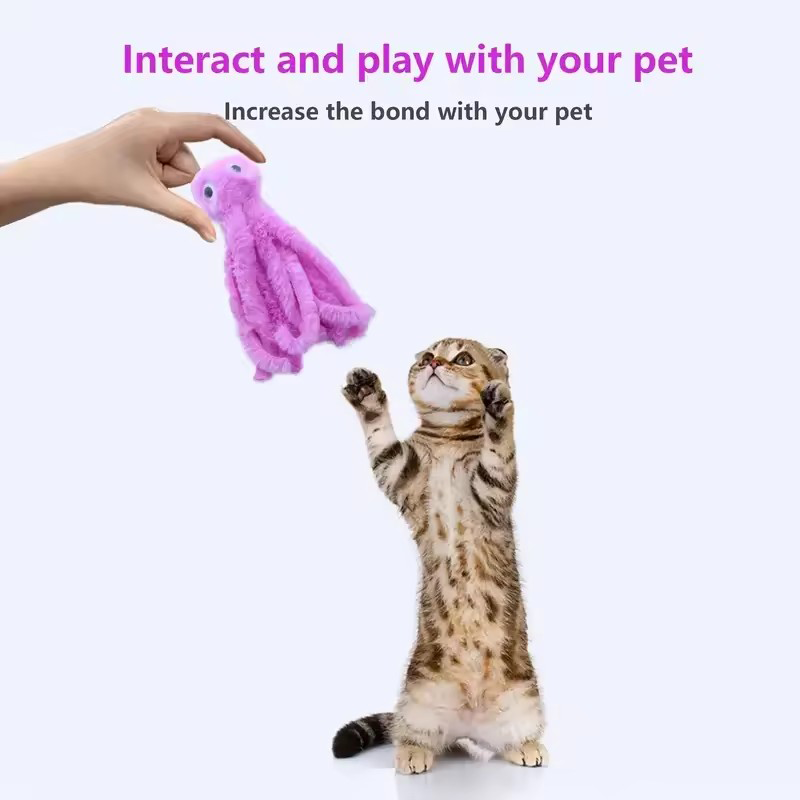 ألعاب قطط الأخطبوط اللطيفة للق - مراجعة Pet Supplies Young وسعره