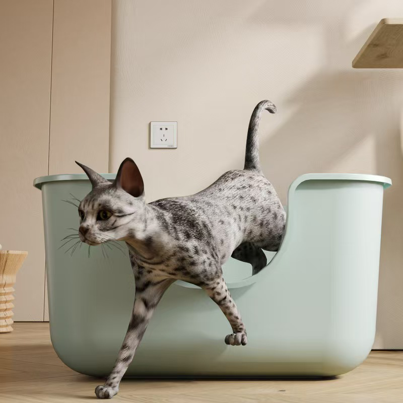 صندوق نفايات القطط كبير الحجم  - مراجعة Pet Supplies Young وسعره