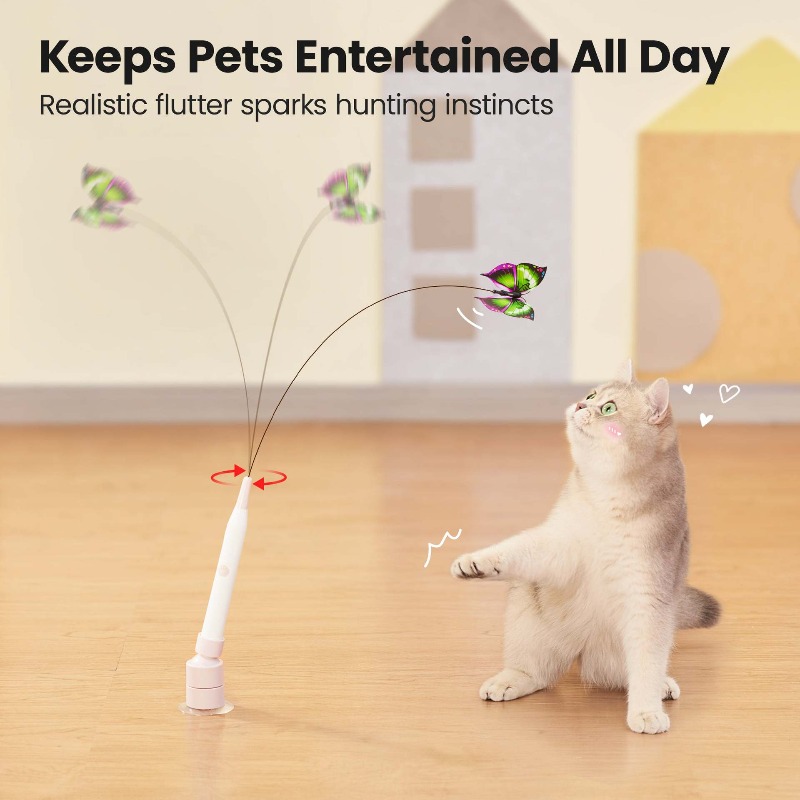 كرة لعبة تفاعلية أوتوماتيكية ل - مراجعة Pet Supplies Young وسعره