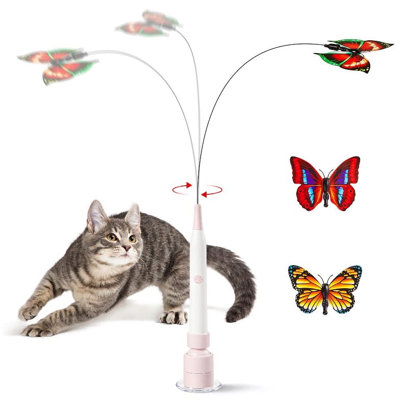 كرة لعبة تفاعلية أوتوماتيكية ل - مراجعة Pet Supplies Young وسعره