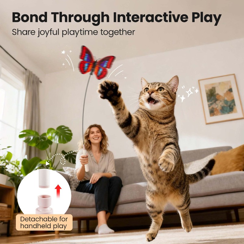 كرة لعبة تفاعلية أوتوماتيكية ل - مراجعة Pet Supplies Young وسعره