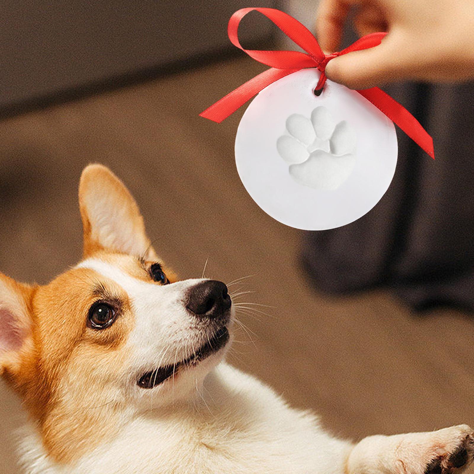 طقم طين إبداعي لطبع آثار أقدام - مراجعة Pet Supplies Young وسعره