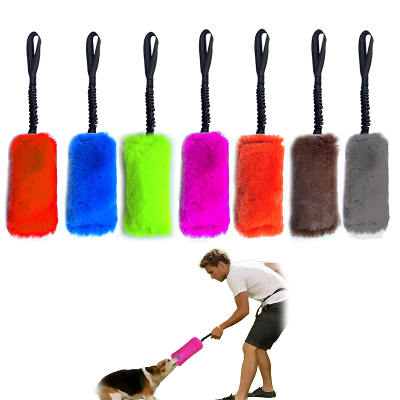 عبوة من قطعتين: لعبة قماشية عا - مراجعة Pet Supplies Young وسعره