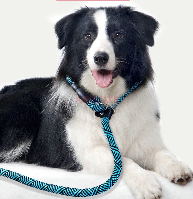 حبل P للمشي مقاوم للانفجار، حب - مراجعة Pet Supplies Young وسعره