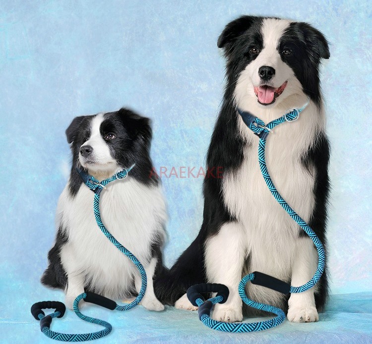 حبل P للمشي مقاوم للانفجار، حب - مراجعة Pet Supplies Young وسعره