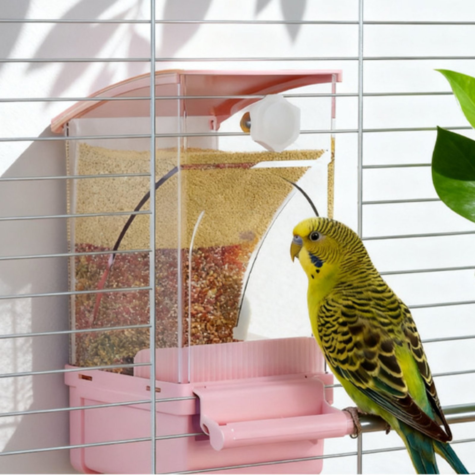موزع طعام أوتوماتيكي للطيور مع - مراجعة Pet Supplies Us وسعره
