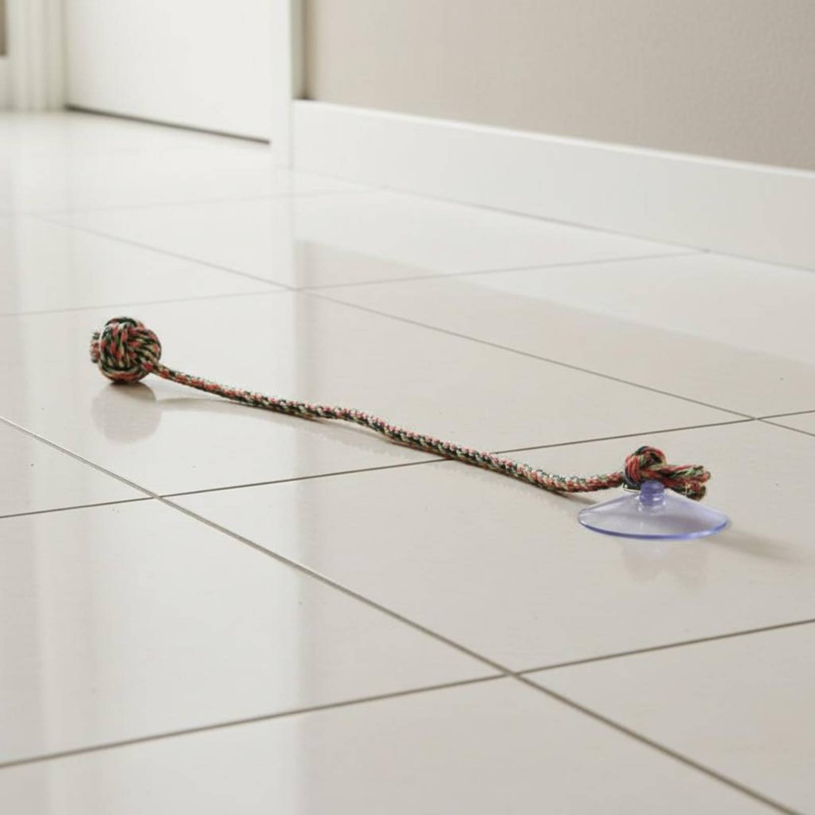 لعبة كلب بقاعدة شفط مقاومة للع - مراجعة Pet Supplies Young وسعره