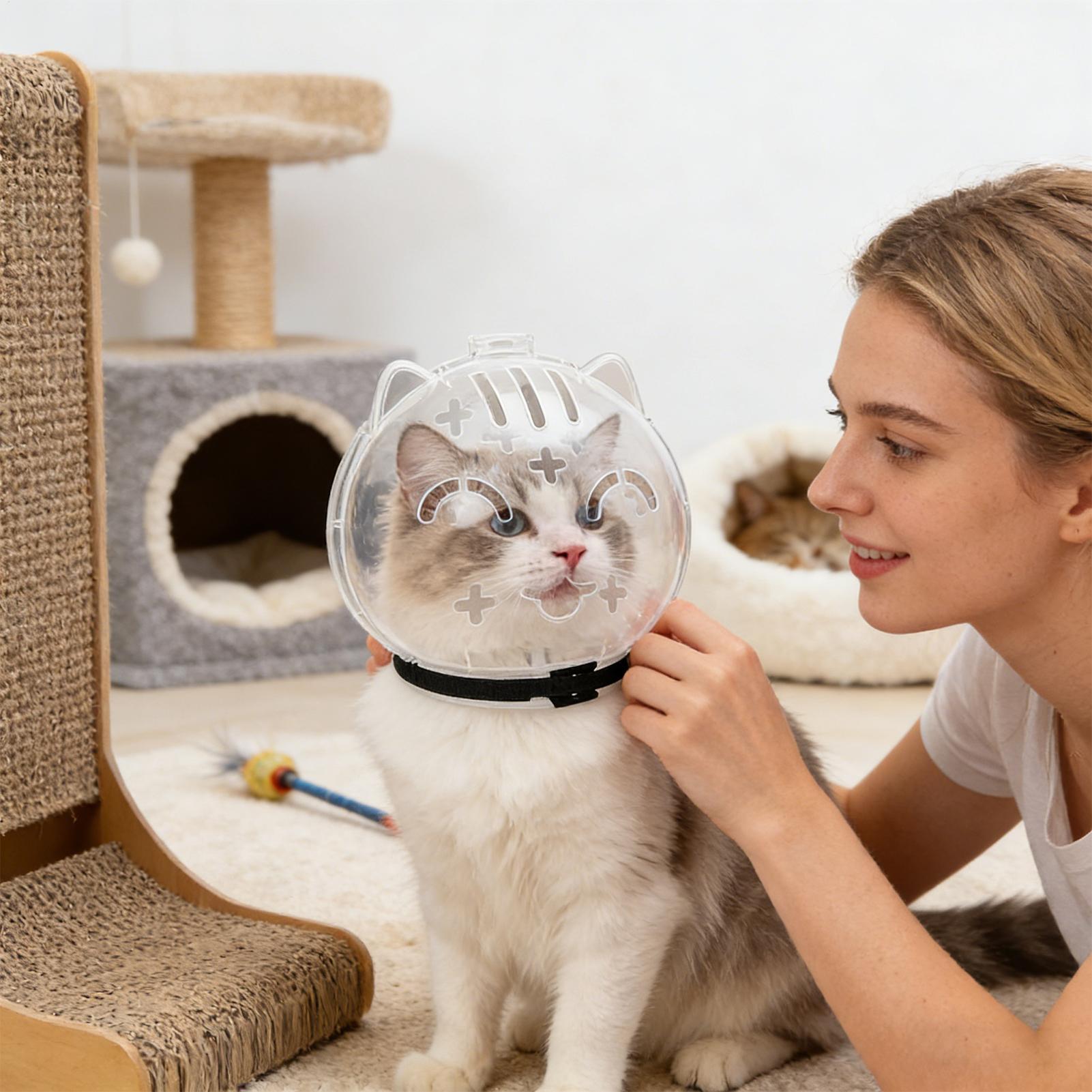 كمامة قطط شفافة قابلة للتعديل  - مراجعة Pet Supplies Young وسعره