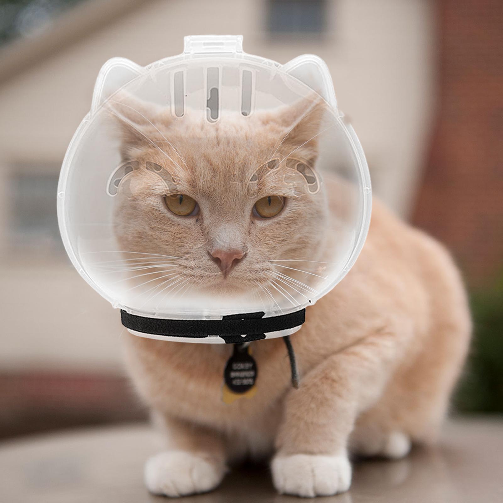 كمامة قطط شفافة قابلة للتعديل  - مراجعة Pet Supplies Young وسعره