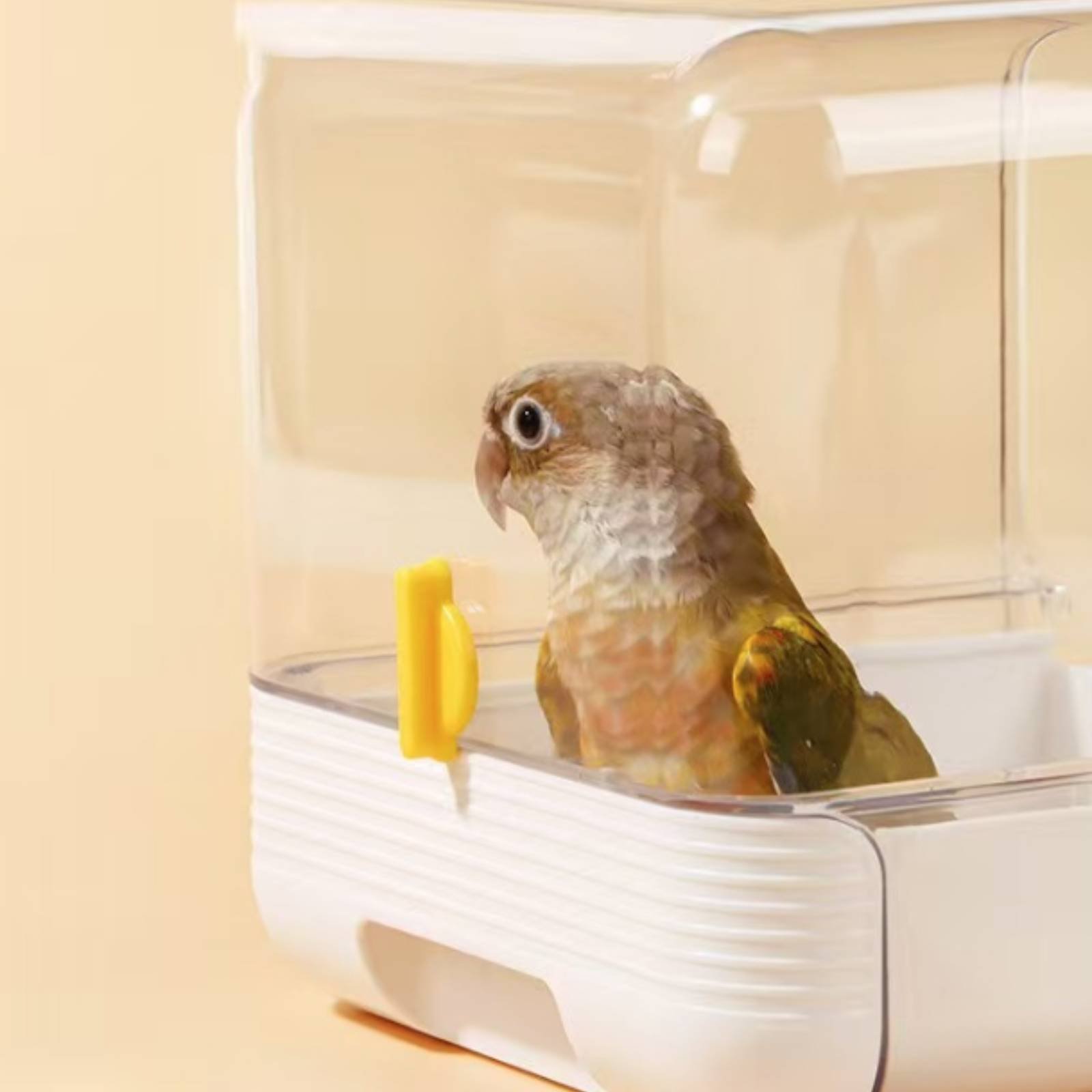 حوض استحمام للببغاء متعدد الوظ - مراجعة Pet Supplies Us وسعره